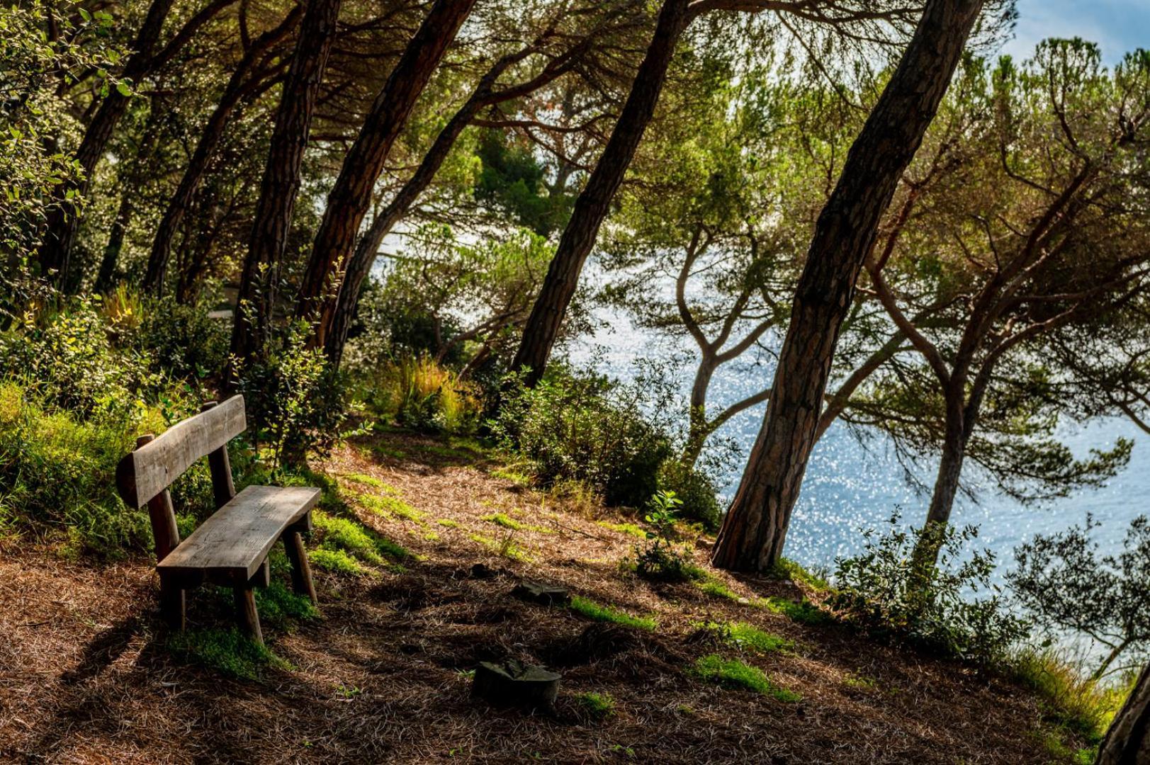 Albamar Apartaments Lloret de Mar Dış mekan fotoğraf